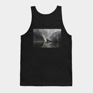 Giant tortoise Tank Top